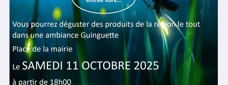 La nuit des lucioles